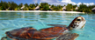 meridienborabora08