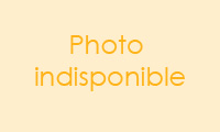 Pas encore de photo pour ce type d'hbergement
